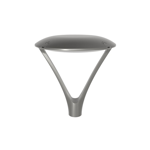 Vela